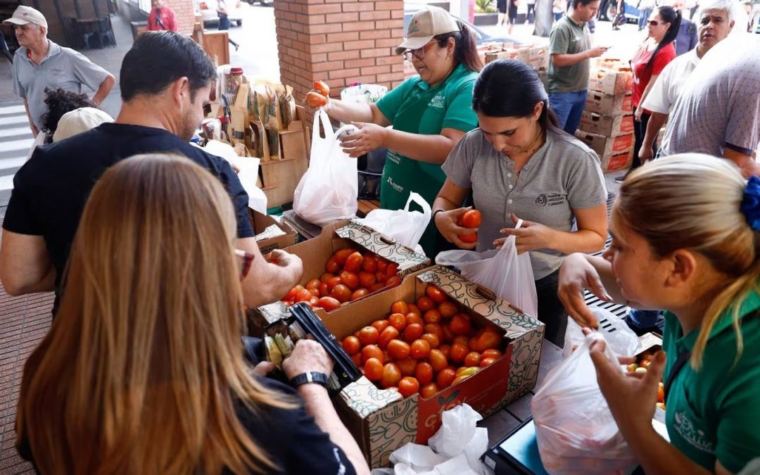 Feria de tomates fue un éxito debido a los precios injustos en el supermercado, asegura el MAG