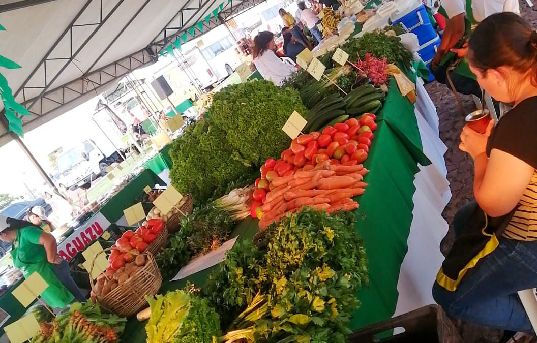 “Fiestas con sabor a campo”: Agricultores invitan a feria en la Costanera