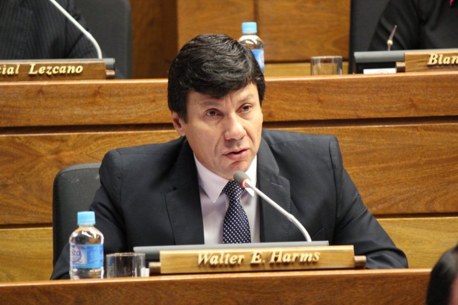 Diputado Walter Harms fallece en accidente aéreo