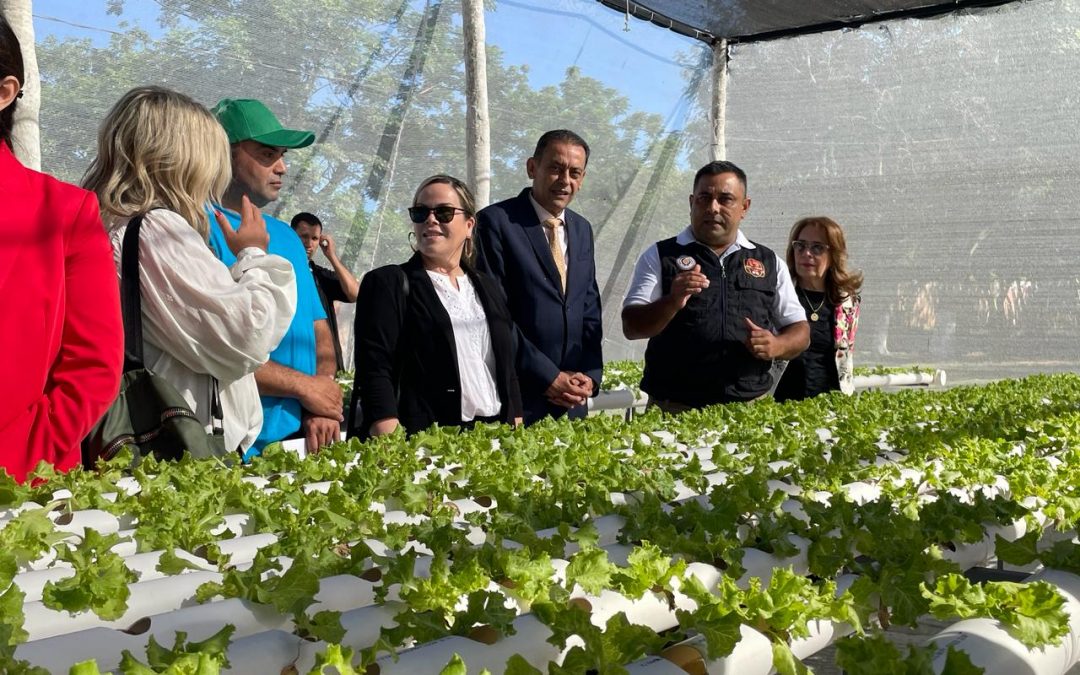 Reinserción social: inauguran vivero hidropónico en Granja penitenciaria Ko’ê Pyahu