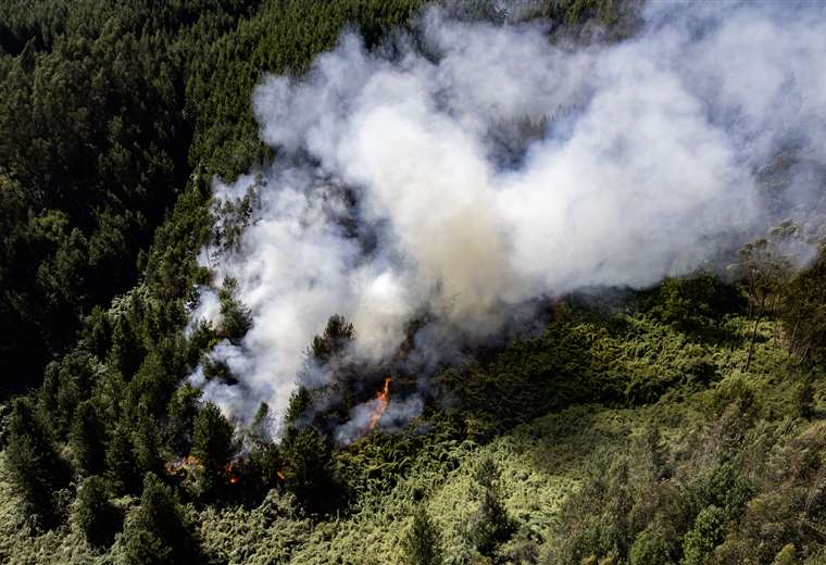 Colombia: Incendios forestales no dan tregua y autoridades solicitaron ayuda a la ONU