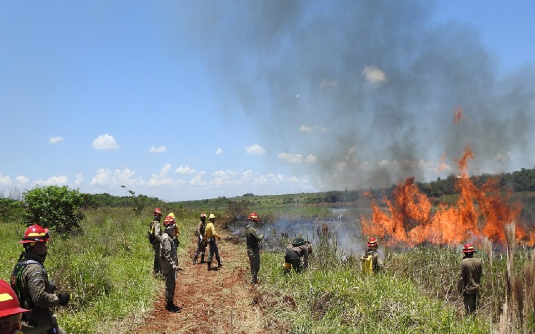 INFONA amplía la suspensión de permisos de quema para prevenir incendios forestales