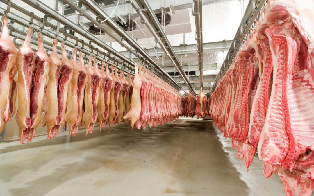 Paraguay consolida su liderazgo en exportaciones de carne porcina a Taiwán