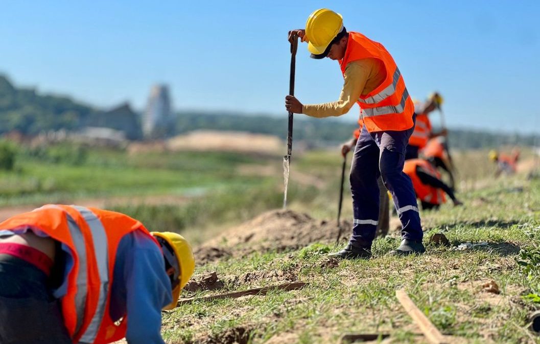 Acciones ecoamigables en la construcción: Arborización y protección de fauna en la Costanera Sur