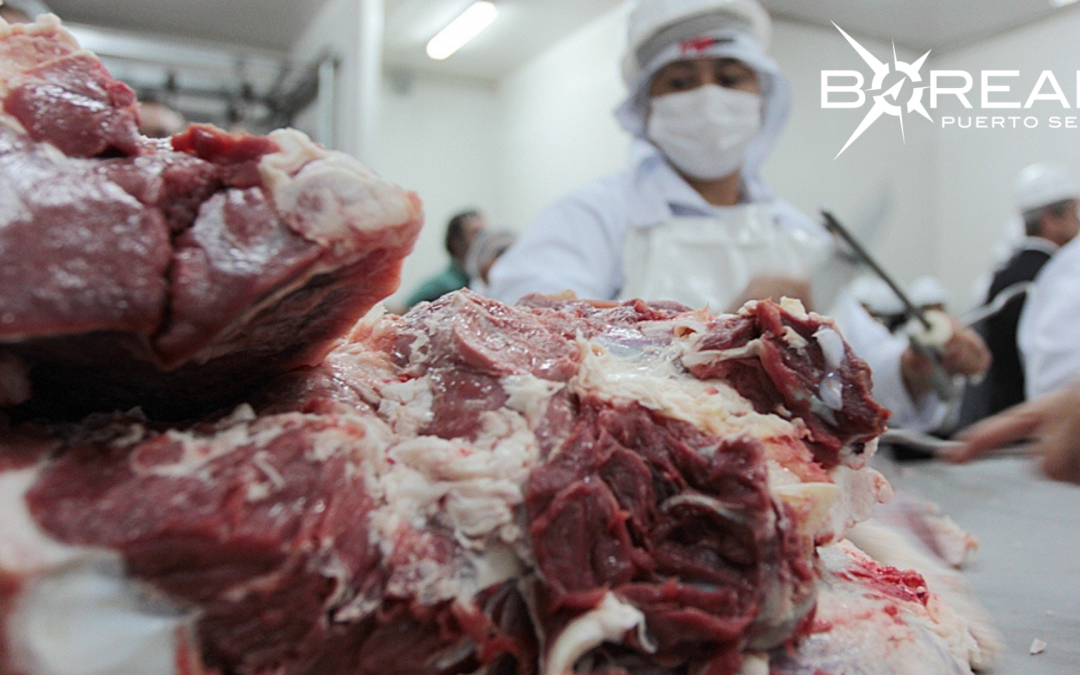 Creciente éxito: carne paraguaya conquista el mercado estadounidense