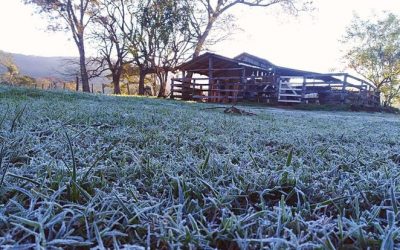Ambiente frío y heladas: Domingo inicia con temperaturas bajas en todo el país