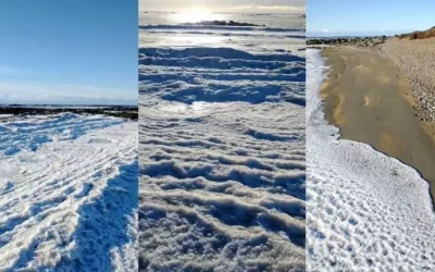 Argentina: Frío extremo congela el mar en Tierra de Fuego