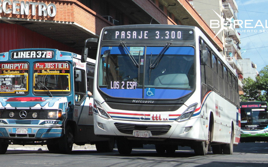 Plantean la renovación del transporte público en la capital