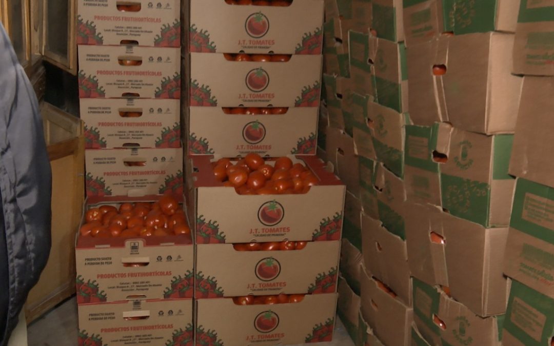 Incautan casi 40 mil kilos de tomate de contrabando en zona del Abasto