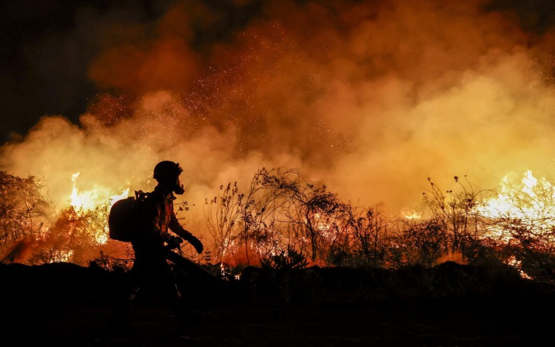 Incendios forestales en São Paulo causan dos muertos y ponen en alerta a 30 municipios