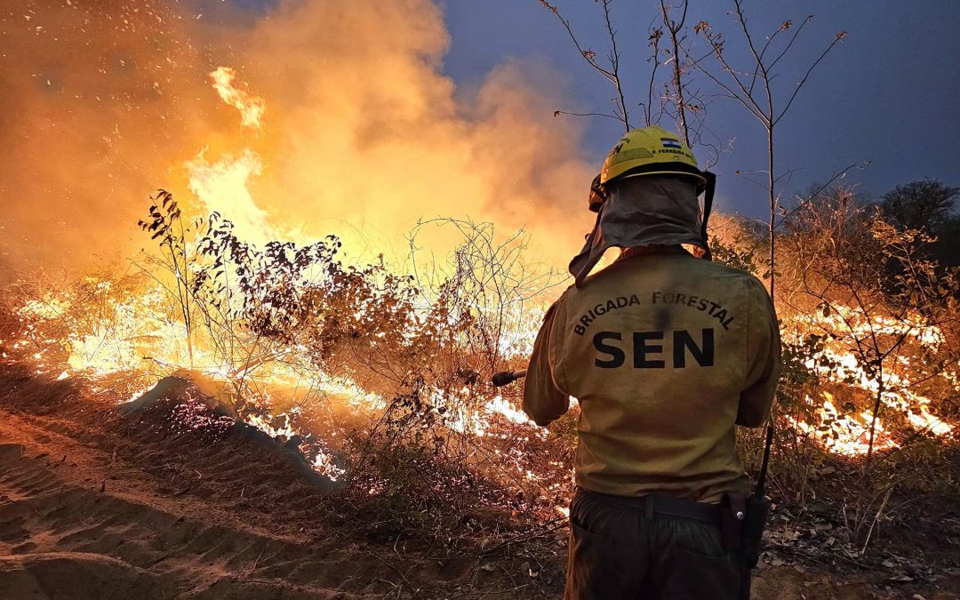 Salud declara alerta epidemiológica ante impacto de incendios forestales