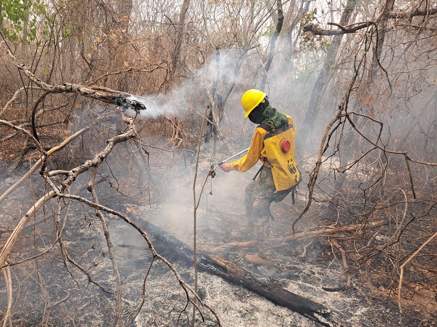 Incendios forestales: instan a empleadores a flexibilizar horarios de bomberos