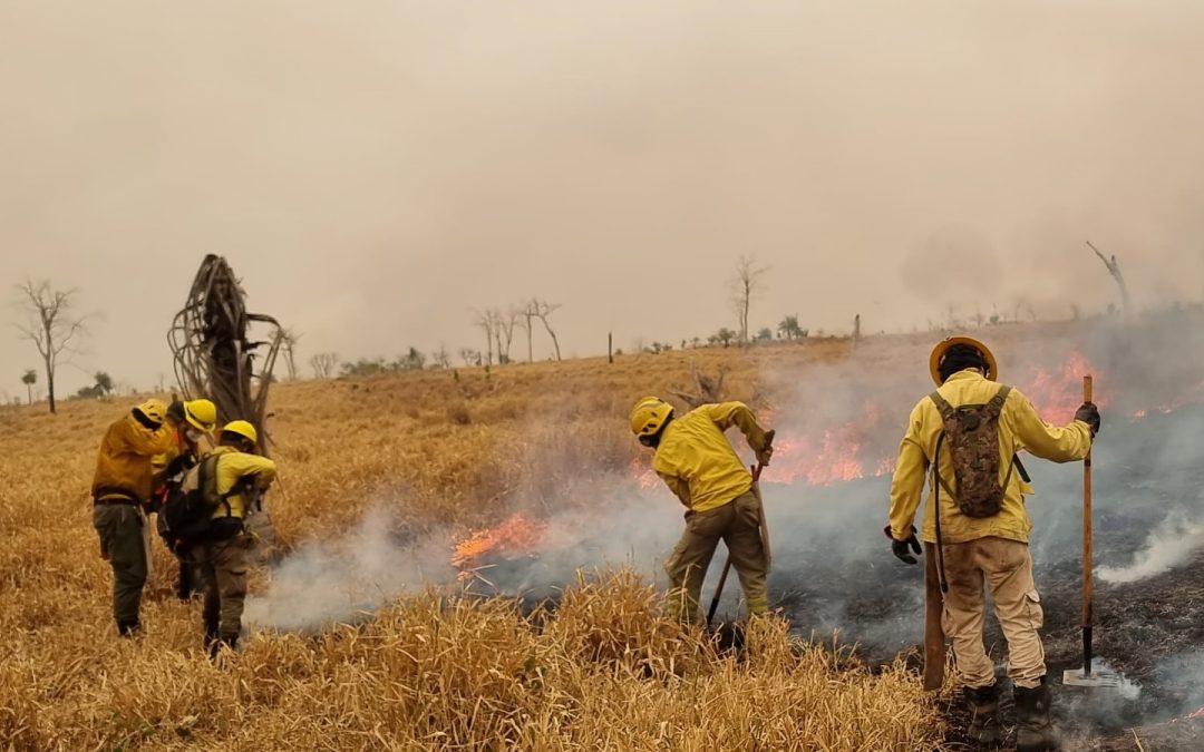 Reportan nuevos focos de incendios en zona de Chovoreca