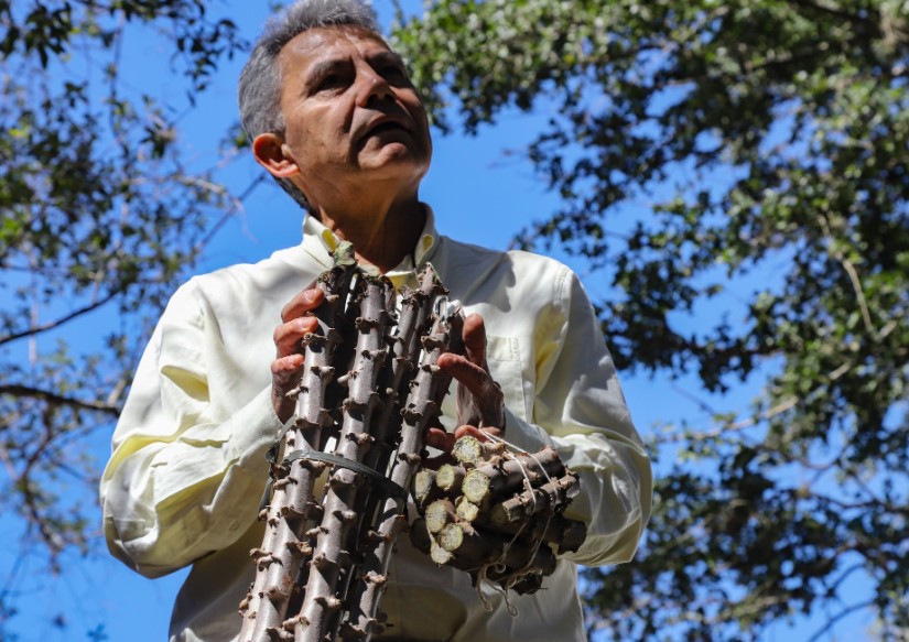 MAG brinda asistencia técnica a la agricultura familiar de Ñeembucú