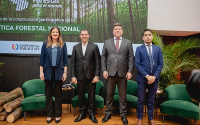 Dan inicio a proceso de participación para generar una nueva política forestal