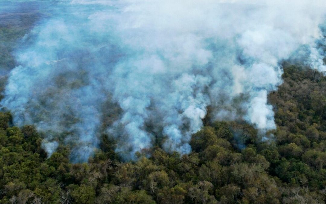 Incendios forestales  están arrasando en Sudamérica