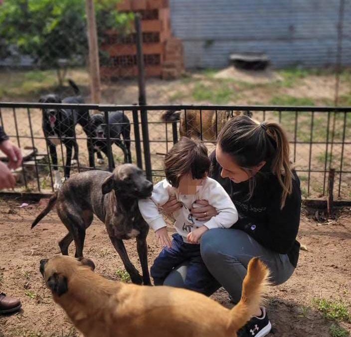 En memoria de Marcelo Pecci, lanzan campaña solidaria para un refugio de animales