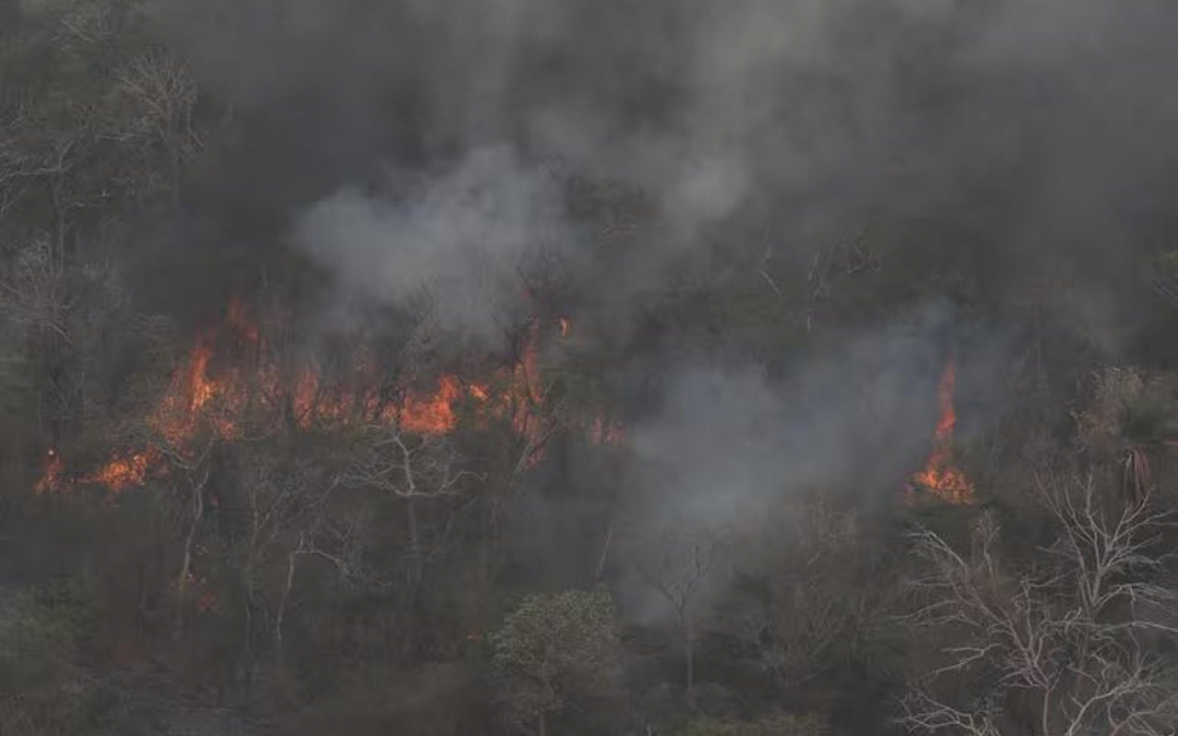 Incendio en el Chaco: MADES aseguró que fuego está controlado, pero aún no termina