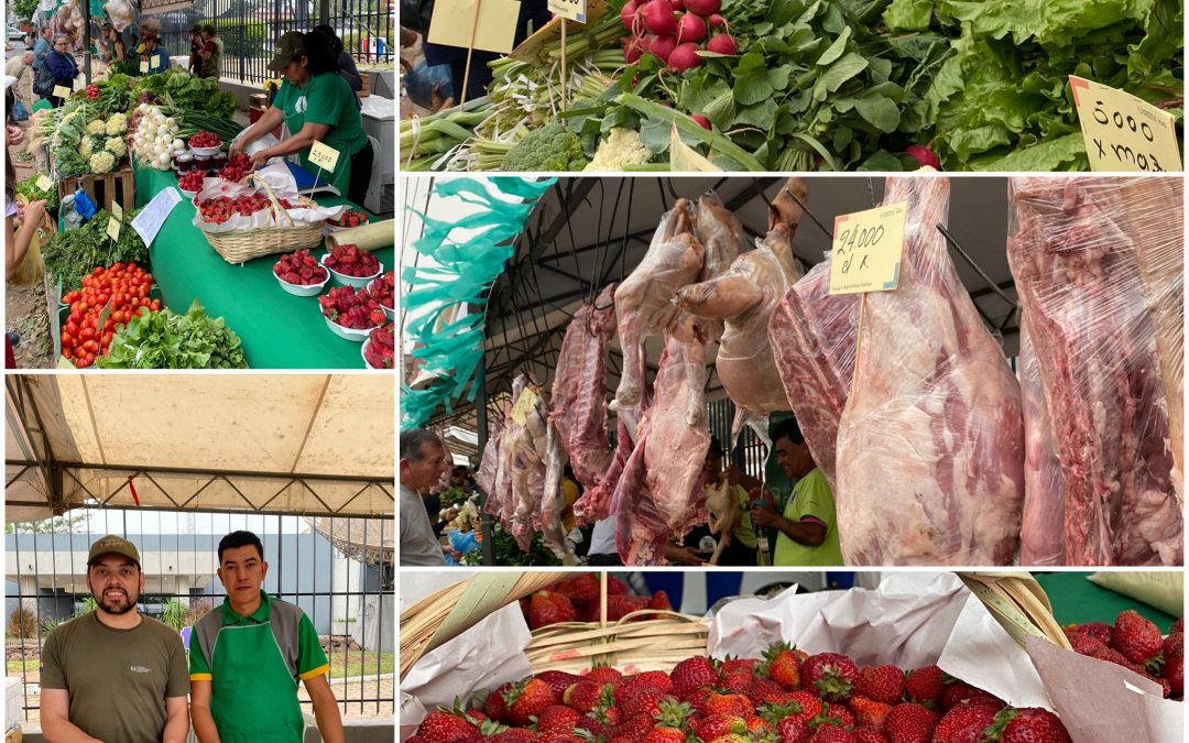 ¡Arrancó la feria de agricultura familiar en las instalaciones de Unicanal!