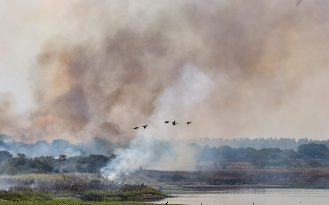 Ante mala calidad del aire, especialistas brindan recomendaciones