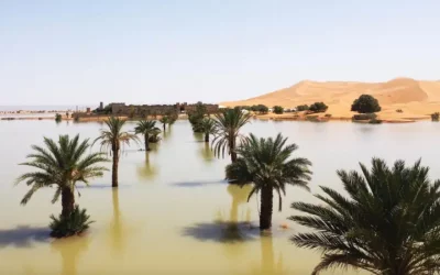 Desierto del Sahara: lluvias atípicas generan inundaciones