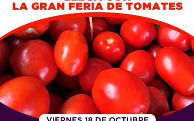 ¡Unicanal albergará este viernes gran feria de tomates!