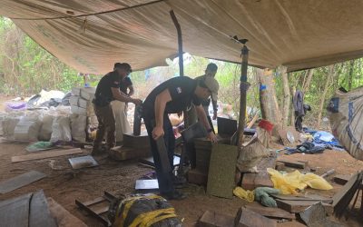 «Maracanazo» al narcotráfico: SENAD destruyó 31 toneladas de droga en  Canindeyú