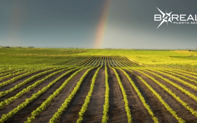  Escenario favorable para el sector agrícola: niveles de lluvia favorecen a los cultivos