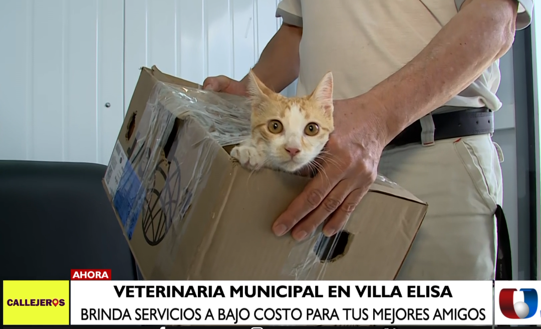 Clínica Veterinaria Municipal ofrece servicios a bajo costo