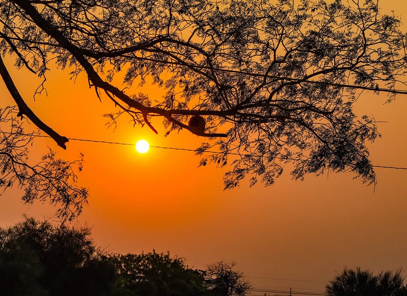 Prevén un domingo caluroso con máximas de 40°