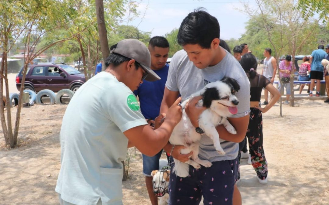 En el día Mundial de las enfermedades Tropicales desatendidas, instan a vacunar mascotas