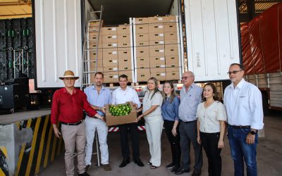 Por primera vez, Paraguay exportó limón tahití a la Argentina