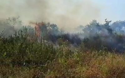 Reportan nuevos focos de incendio en zona del banco San Miguel