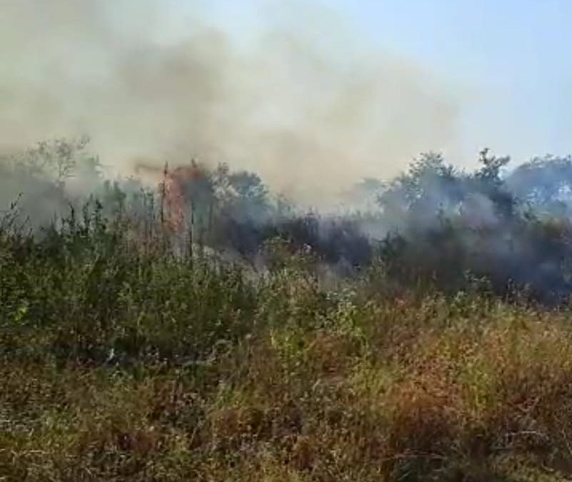 Reportan nuevos focos de incendio en zona del banco San Miguel