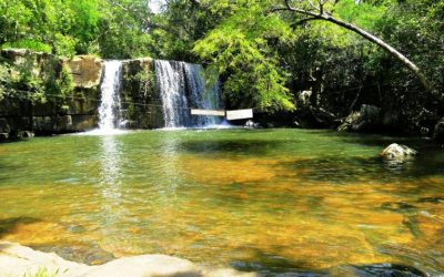 El Mades insta a las personas a cuidar de los entornos naturales