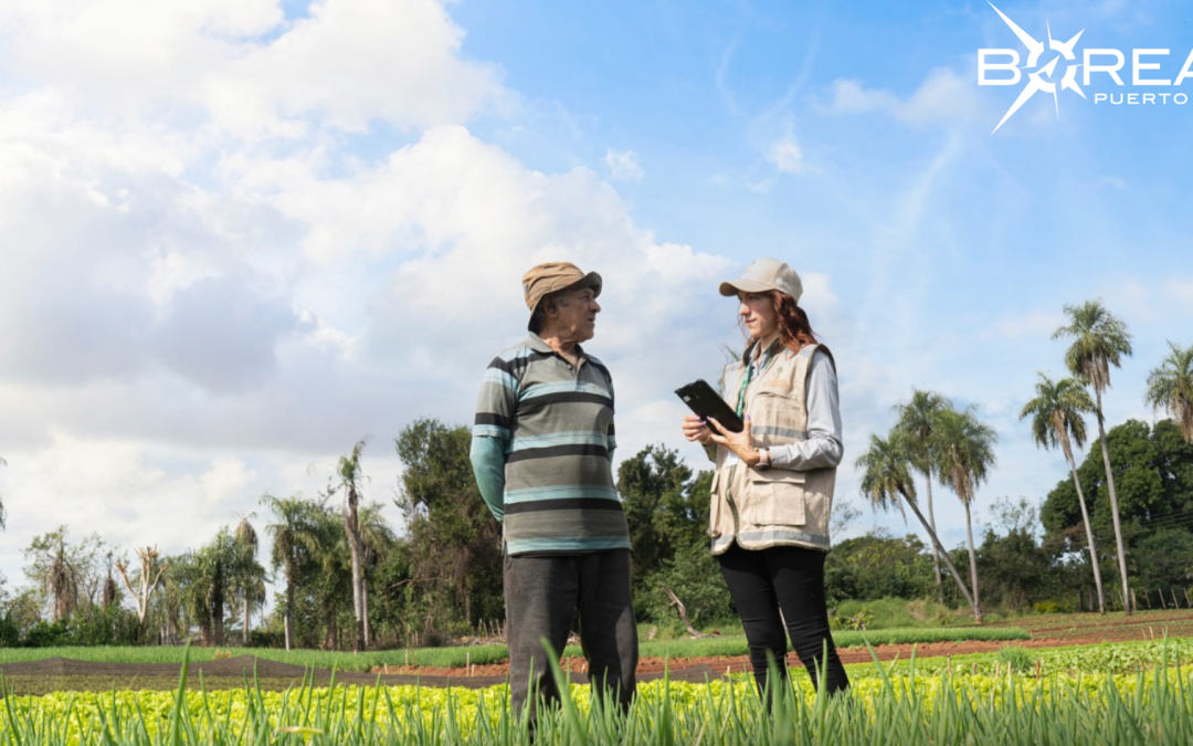 Encuesta nacional agropecuaria: MAG visitará a productores en marzo