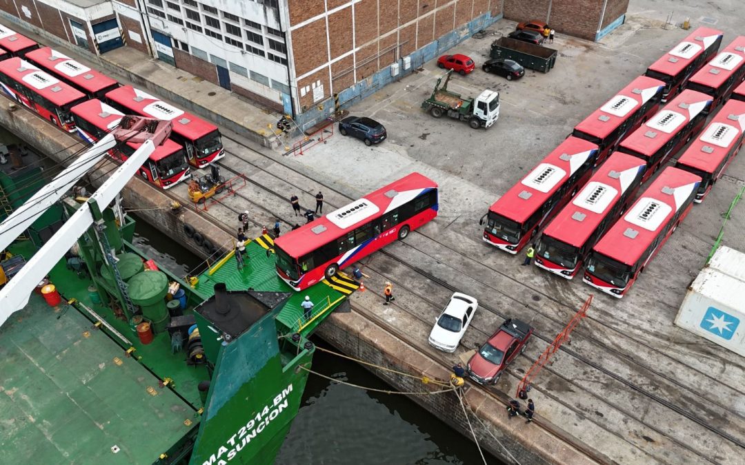 Anuncian la llegada de nuevos buses eléctricos en marzo