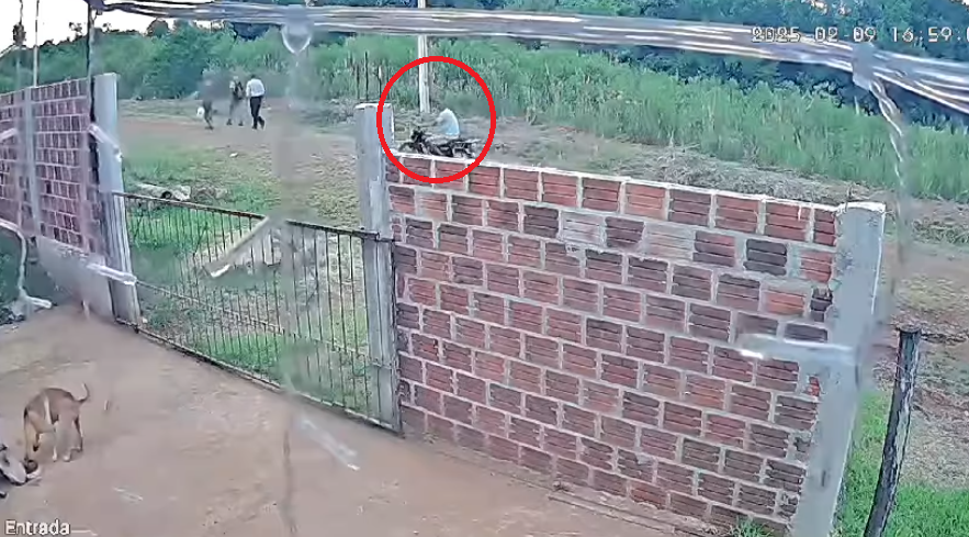 Cuatro detenidos por la muerte de un perro en Cambyretá