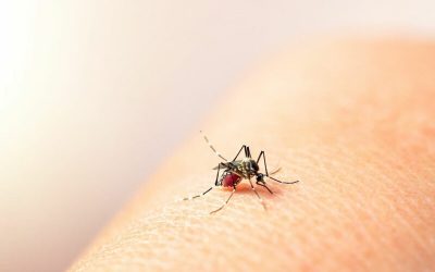 Franja pediátrica, la más afectada por casos de dengue