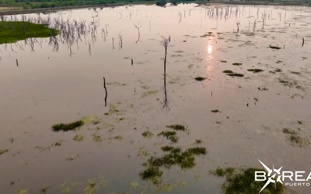 Proyectan represa en el río Pilcomayo: buscan imitar modelo argentino