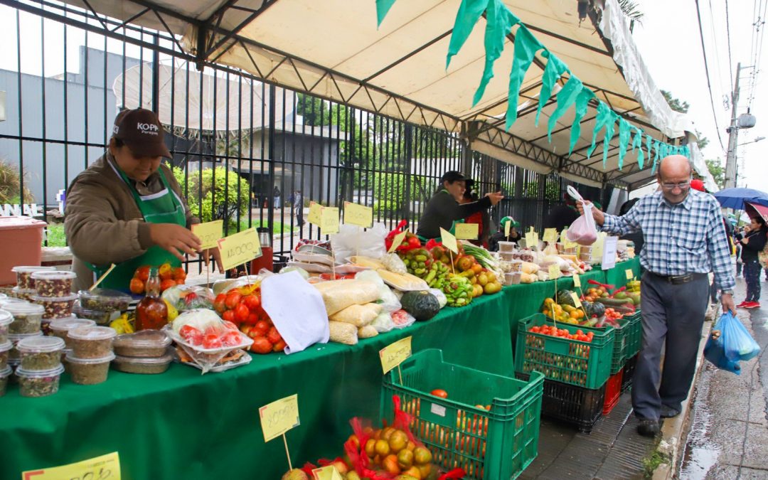 ¡Feria de Agricultura Familiar se realiza este miércoles en Unicanal!