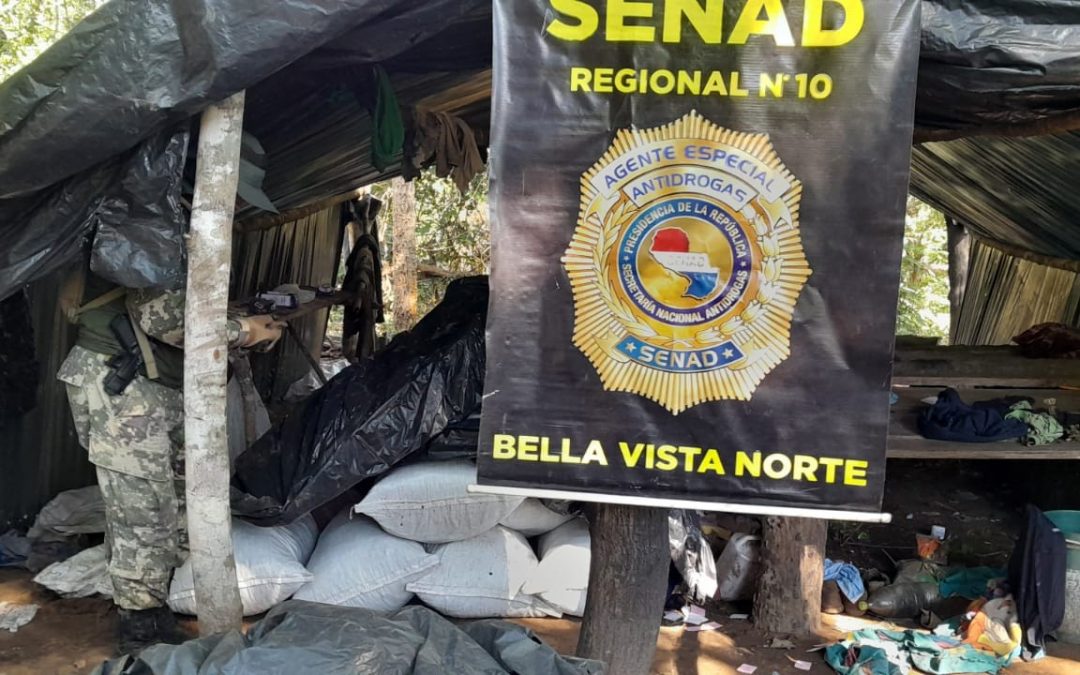 Senad eliminó más de 80 toneladas de droga de Reserva de Mbaracayú