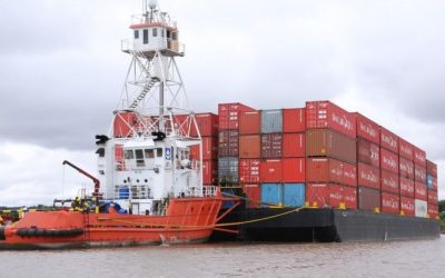 Destacan el potencial de Paraguay como exportador de madera, sésamo y carne