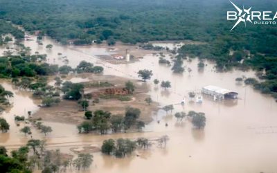 Lluvias en el Chaco podrían generar una superproducción agrícola y forestal, afirman 