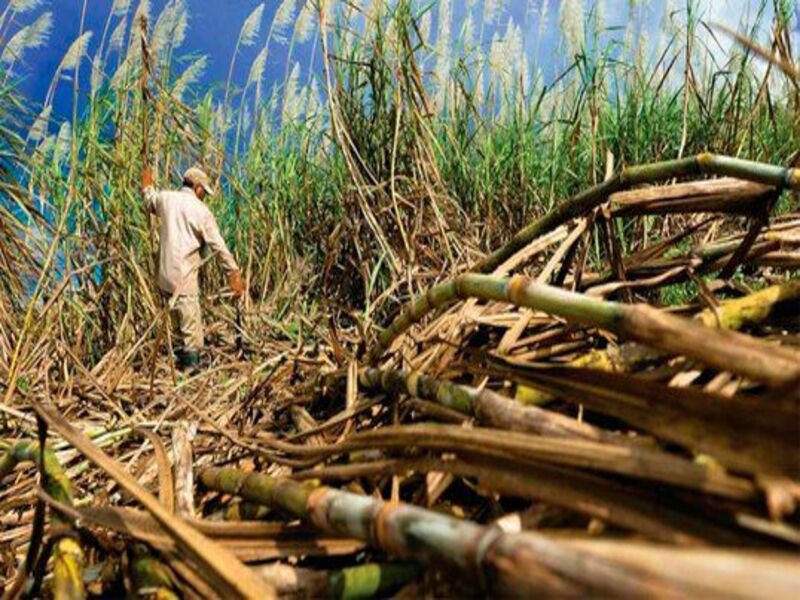 Instalarán mesas de trabajo para buscar solución a los reclamos de cañicultores