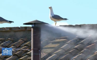 ¡Humo blanco en el Vaticano!