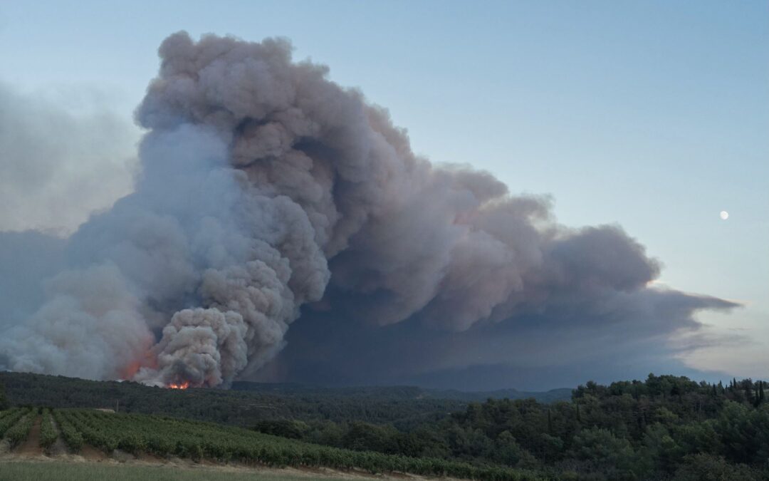 Un muerto y nueve heridos en gran incendio forestal en Francia