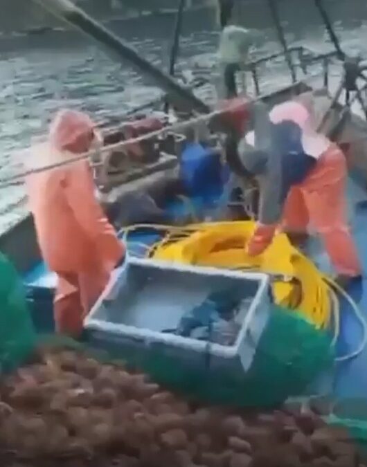 Buscan a paraguayos desaparecidos tras el hundimiento de navío en Chile