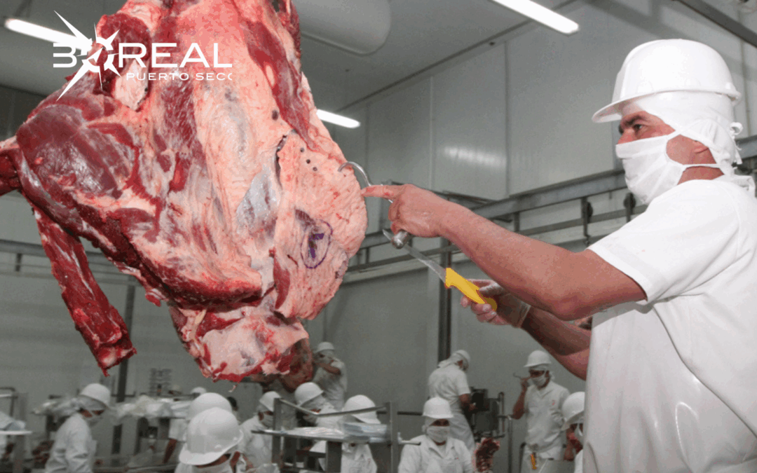 Importación de carne: estiman mayor aumento para el 2026