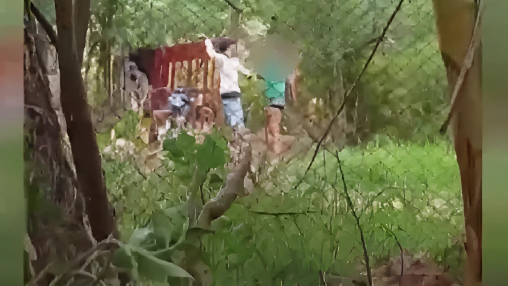 Brutal agresión: hombre golpeó a su pareja y amenazó a vecinos